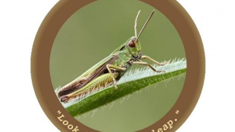 ويكيليكس تكشف أدوات المخابرات الامريكية لإختراق حواسيب ويندوز