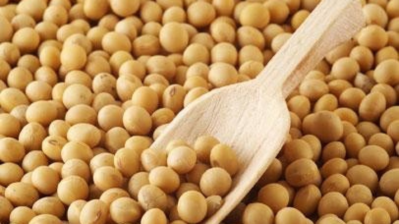 فوائد الحمص فى علاج الكولسترول والسكر وحماية الجلد